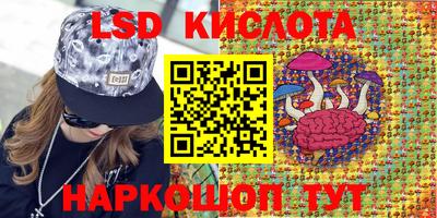 меф Кингисепп