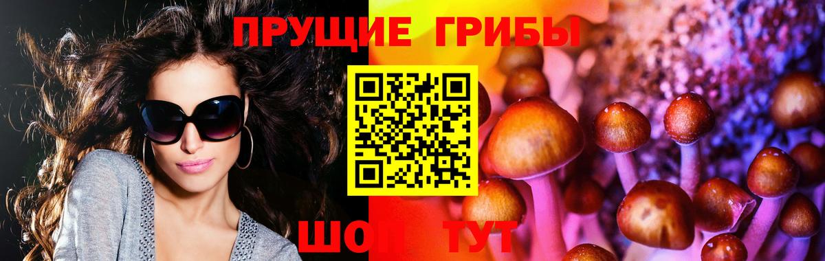 Галлюциногенные грибы MAGIC MUSHROOMS Долгопрудный